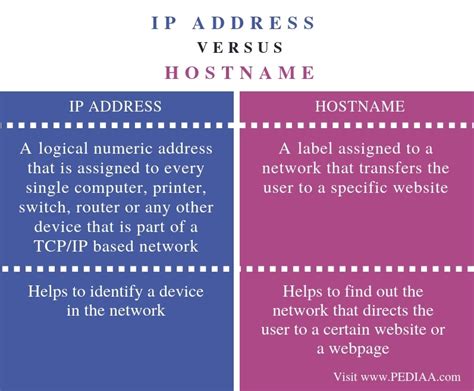 Image result for Localhost Vs IP Address
