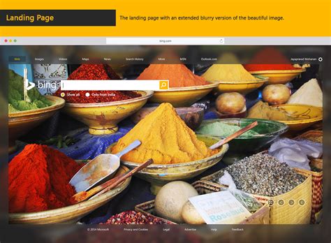 Bing Search Engine Design 的图像结果