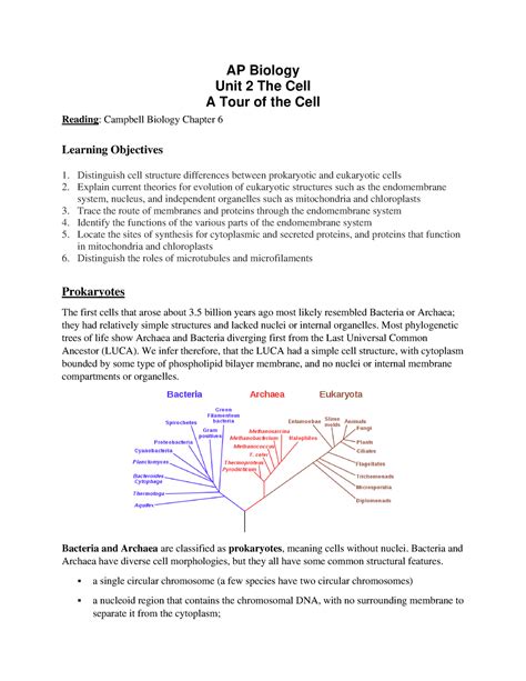 AP Biology Unit 2 - notes - AP Biology Unit 2 The Cell A Tour of the ...
