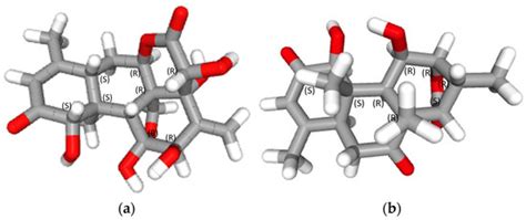 In Vitro and In Silico Analysis of the Anticancer Effects of ...