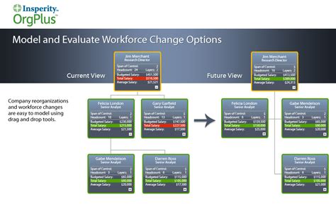 Image result for OrgPlus Org Chart