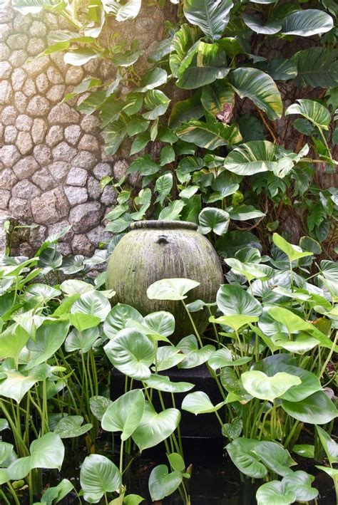 Image result for Overflow Pot