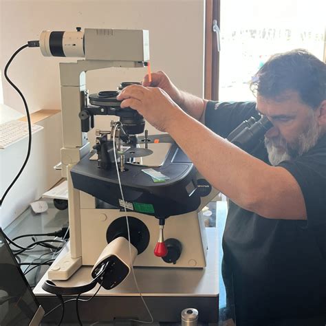 Lab Microscope Training 的图像结果