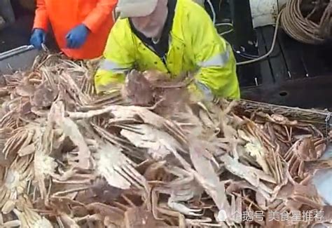 澳洲海蟹泛滥，一张渔网打捞到上千吨螃蟹，网友：这才叫大场面