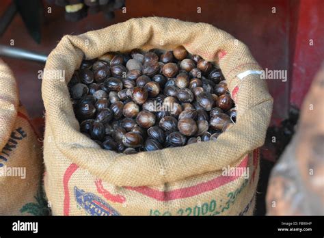 Indian. Shop 的图像结果