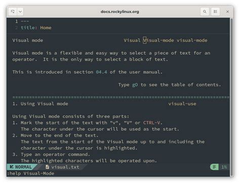 Using NvChad - Documentation