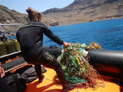 Haliotis Dive Center (Mindelo) - 2022 What to Know Before You Go (with ...