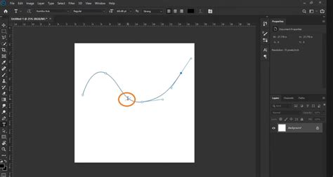 How to Use Photoshop’s Type on a Path Tool