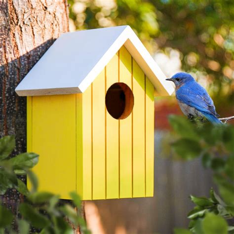 BIRDSHALA Wooden Large Bird House for Sparrow, Bulbul, Budgies, Wild ...