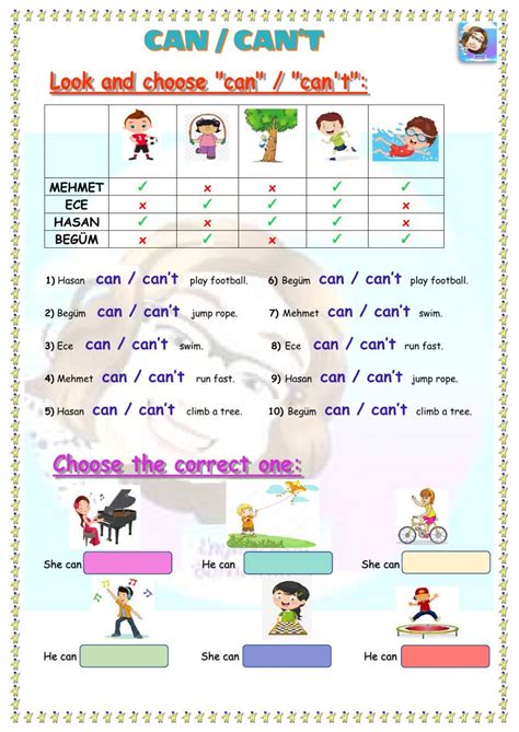 Can Worksheet 的图像结果
