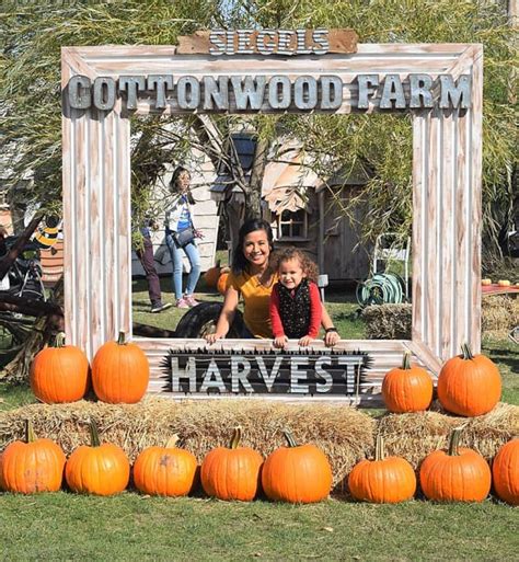 Top Activities and Destinations for an Unforgettable Fall Experience!