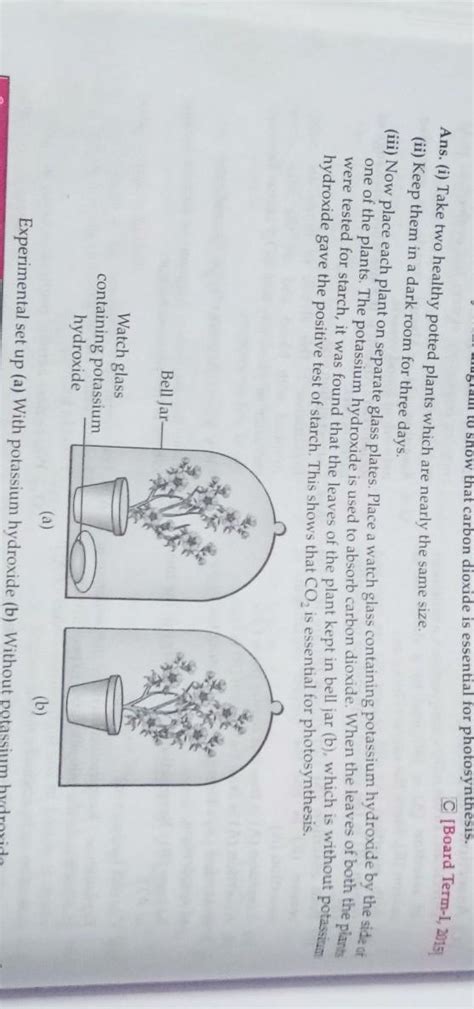 A Q.7. Explain the activity with diagram to show thatcarbon dioxide is ...