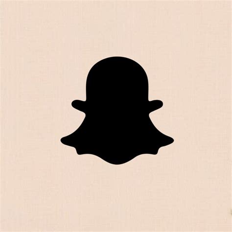 Image result for Snapchat iOS Icon