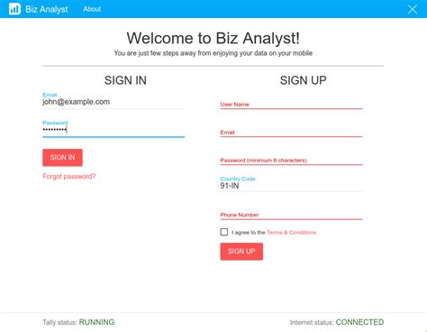Setup :: Biz Analyst Docs