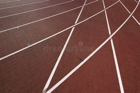 Sports Ground 的图像结果