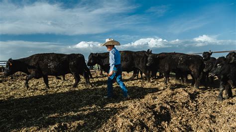 Argentina Beef Trump