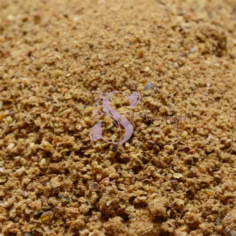 Image result for Making Juniper Berry Powder