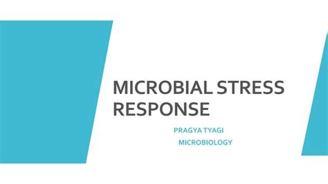 Stress Biology 的图像结果