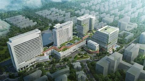 深圳“三甲”医院增至32家，新成员是它！_龙华区_医疗_学科