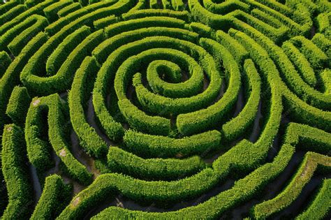 Premium Photo | Captivating BirdsEye Perspective Of Elaborate Hedge Maze
