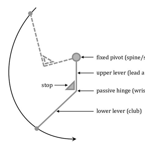 Double Pendulum Golf Swing 的图像结果