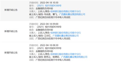 桂林银行状告嘉和置业，案由系金融借款合同纠纷_案件_广西_集团