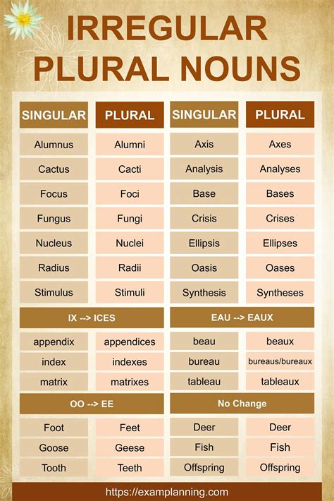 Examples Of Plural Pronouns _ What Is a Pronoun? Definition, Types ...