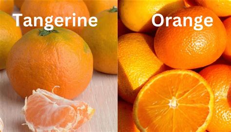 Tangerine Hindi Meaning: टेंजेरीन का हिंदी मीनिंग क्या है, फायदे और ...