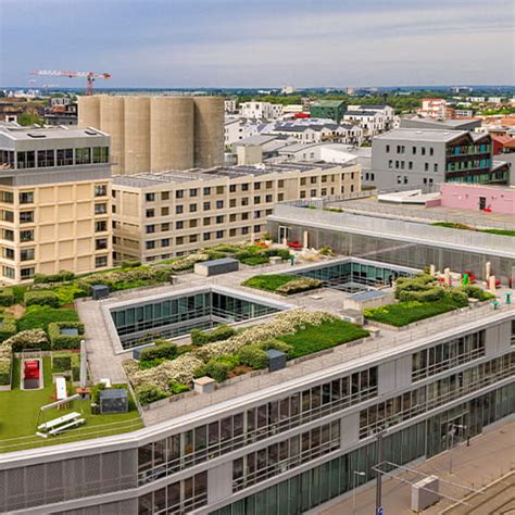 Colliers | Sustainability Services