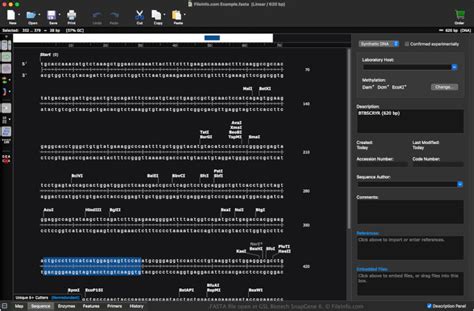 Image result for How to Create a Fasta File