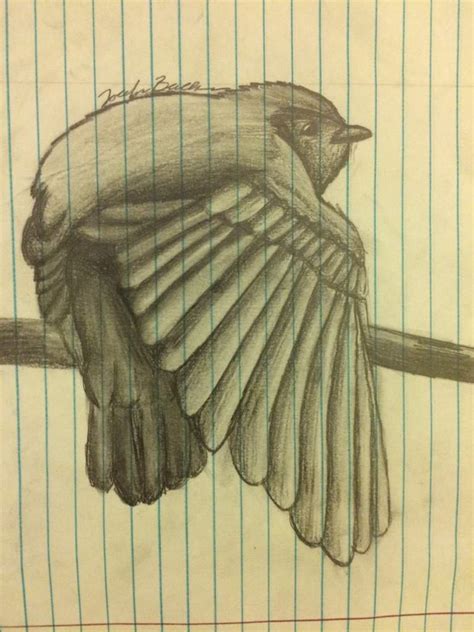 Image result for Bird Drawing Shading