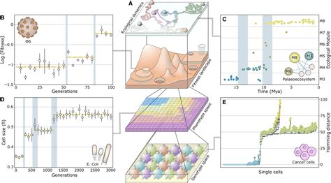 Sergi Valverde (@svalver@ecoevo.social) - ecoevo.social
