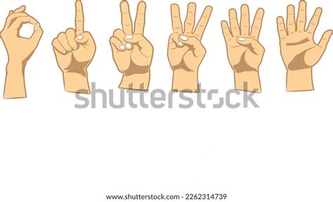 Digit 的图像结果