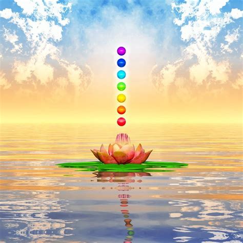 Pitaara Box Sacred Lotus & Chakra Spheres | Peel & Stick Vinyl Wall ...