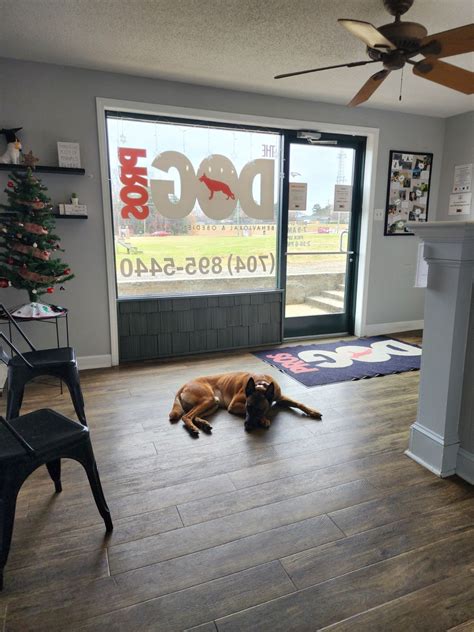 Professional Dog Trainer , The Dog Pros, Mooresville, 18 May 2025 ...