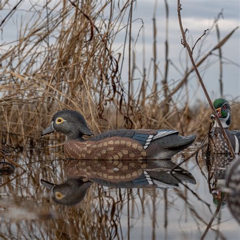 Wood Duck Decoys | Realistic, Durable and Highly Effective - Dive Bomb ...