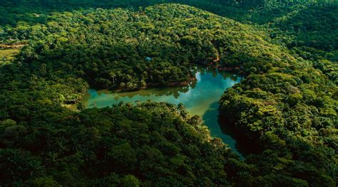 MAGOROTO FOREST (Tanga) - Lodge Reviews & Photos - Tripadvisor