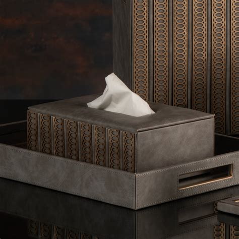 Lexus Grey & Dull Gold Tissue Box – Address Home