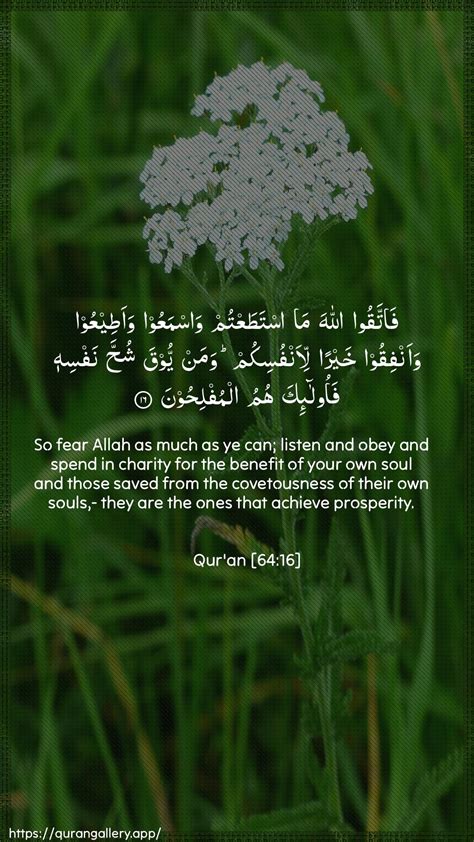 Fear Allah As Best You Can (At-Taghabun 64:16) - Overcoming Greed for ...