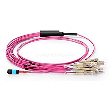 JT 24 Fiber MPO Break-Out Patch Cable with MPO (F) and 10 x LC/PC ...