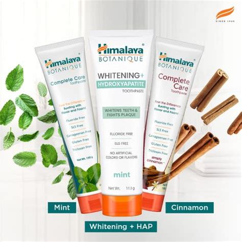 HIMALAYA Botanique Complete Care Toothpaste - Simply Mint 150g ...