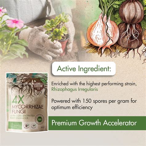 Mua 4oz 4X Mycorrhizae for Plants - Mycorrhizal Inoculant - Root ...