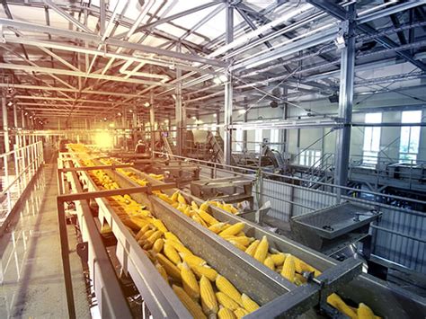 Image result for Fast Food Processing