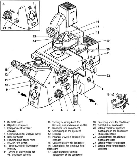 Image result for Biological Drawing of Compounb Light Microscope