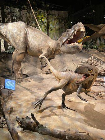 RTB Tours (Calgary) - 2022 What to Know Before You Go (with Photos ...