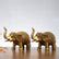 Buy Brass Superfine Elephant Pair 6" - Budhshiv.com