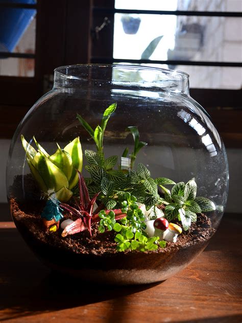 Round Terrarium (10 Inches) — Mudfingers