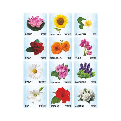 Flowers Wooden Flash Cards for Kids | Flower Learning Picture Cards ...