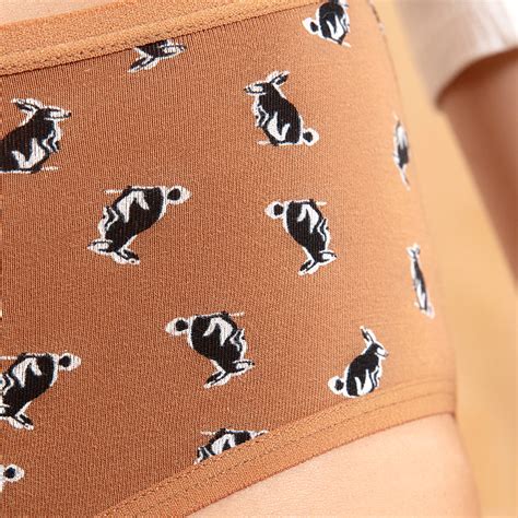 NYKD X Masaba Pack Of 2 Cotton Hipster with Anti odor-NYP011-Bunny Aop ...