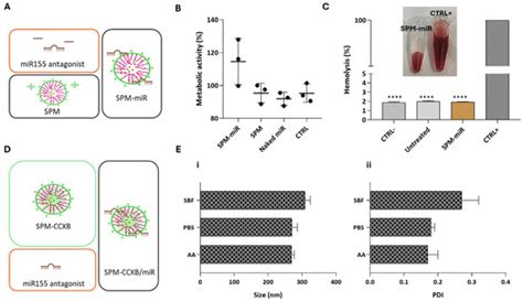 Using Hybrid Nanoplatforms to Combine Traditional Anti-Inflammatory ...